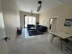 Monthly Furnished 1-Bedroom Apartment