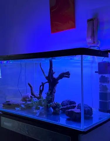Aquarium