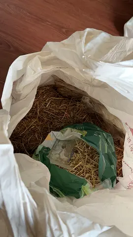 high-fiber mountain hay for rabbits ( 1kg )