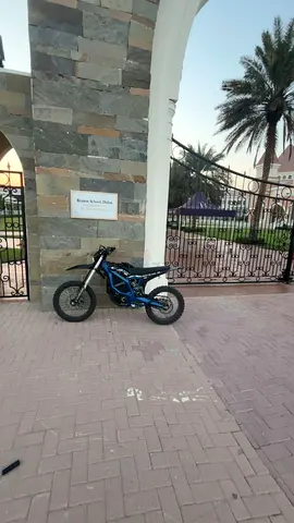 Surron ultra bee