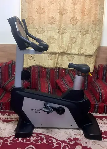 Stex upright bike