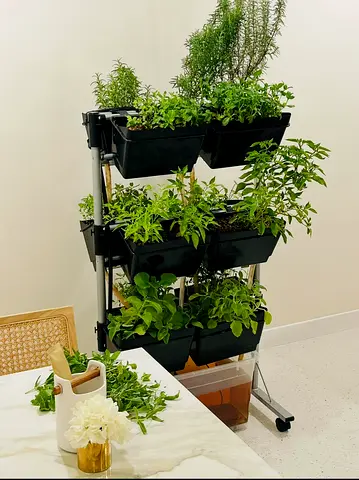 Vertical Aquaponics and Hydroponic