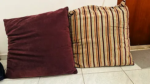 Both Pillows for 10aeds
