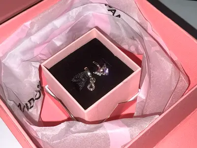 2x Pandora Charms - Bought 2 Weeks Ago