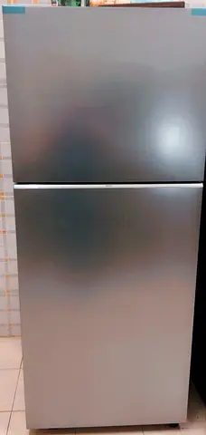 Sleek Silver Top Mount Refrigerator