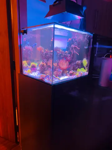 Waterbox peninsula 25 Saltwater reef aquarium with stand -ready setup