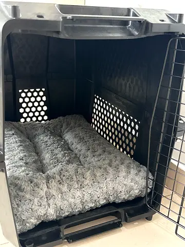 Pet Dog Cat Carrier Carte