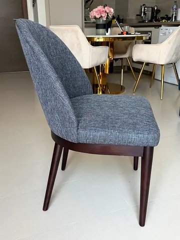 Indigo Living Chairs (Set of 2)