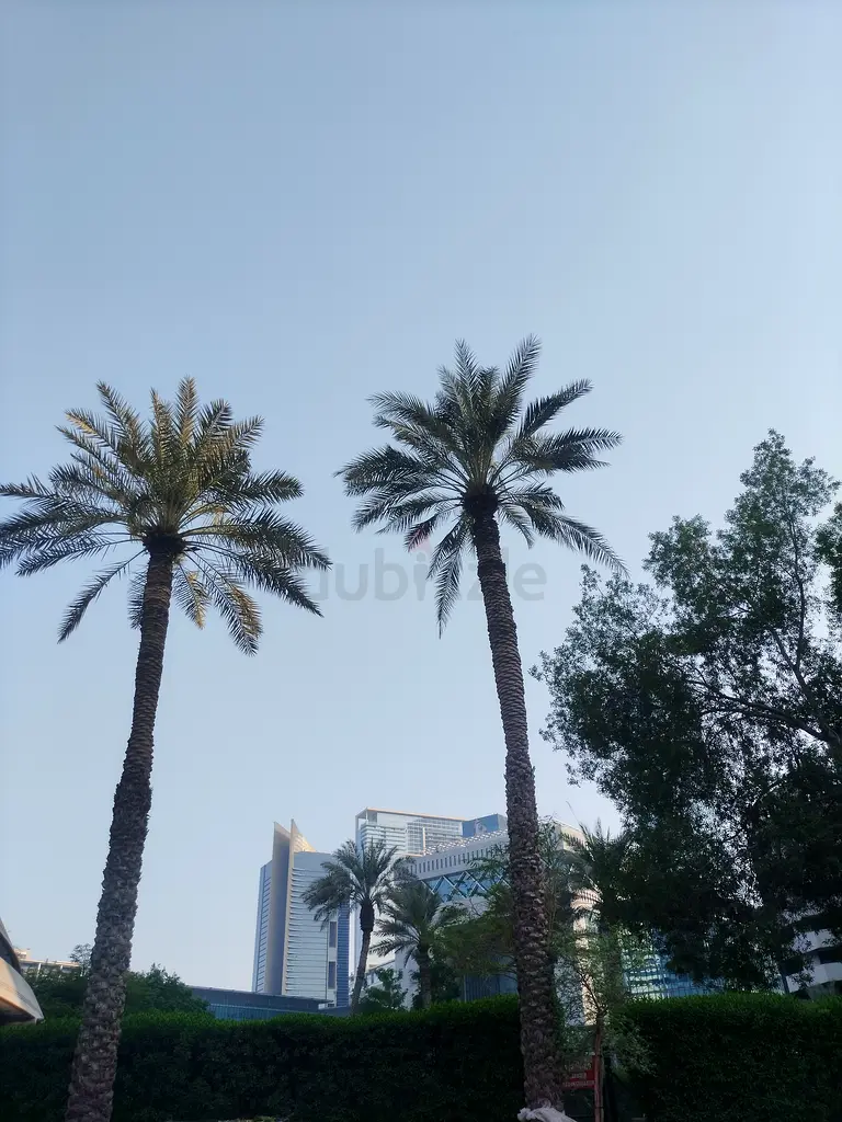 DPV_View_Image_3