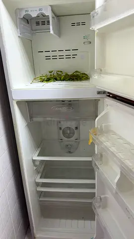 Ikon Fridge for sale 240 Litres