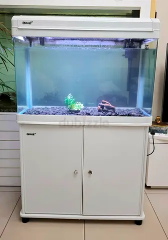 80 cm Aquarium with White Cabinet and Hood - Ready to Use