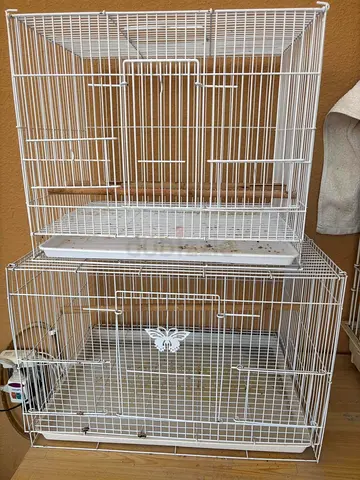 Birds 2 Simple Cages for 100 only