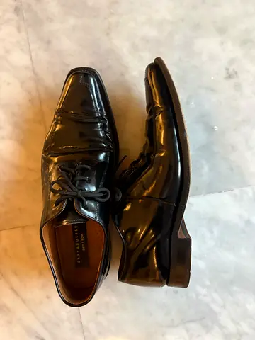 Shiny Professional Shoes
