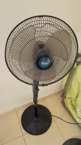 fan