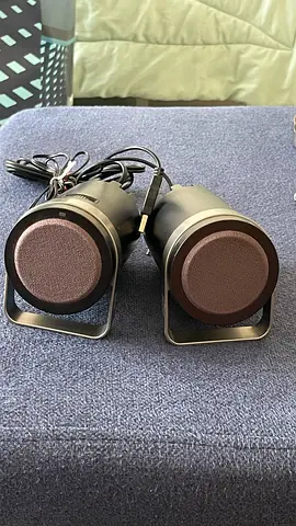 Computer Speakers