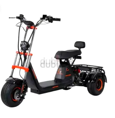 Kugoo C4 Electric 3-Wheel Scooter