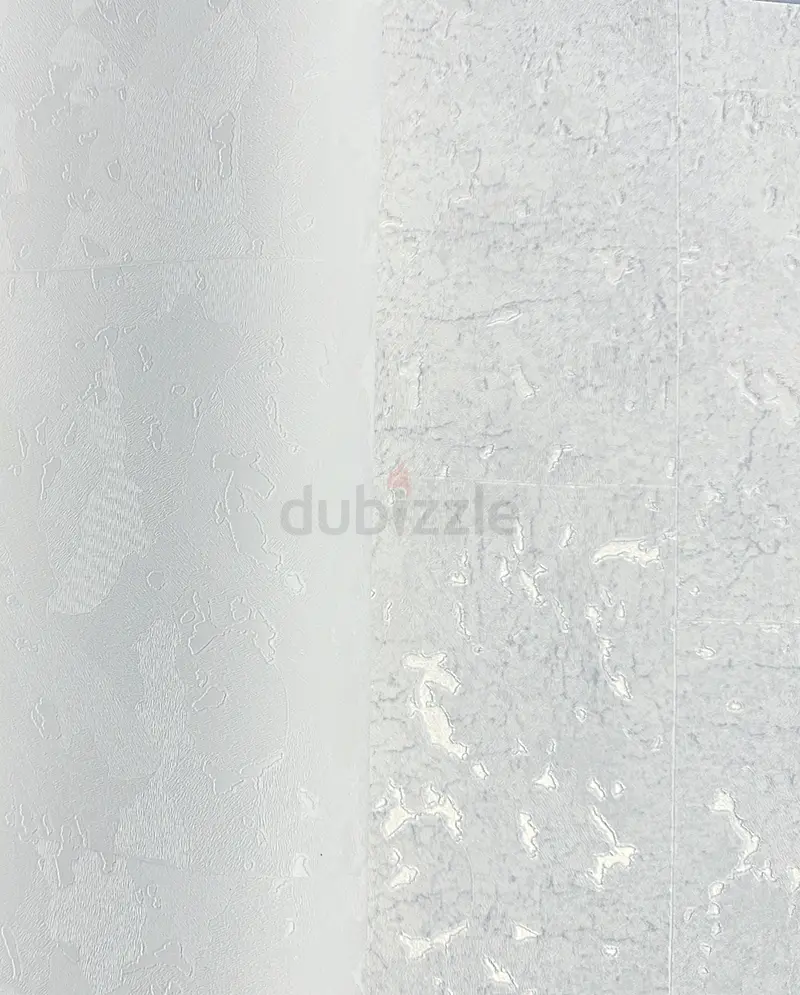 DPV_View_Image_4