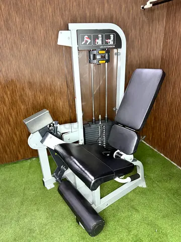 Hammer strength leg extension