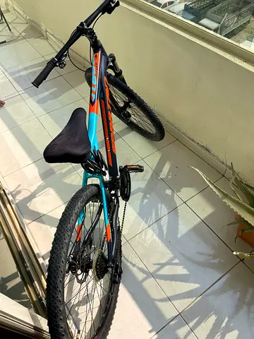 Spartan bicycle