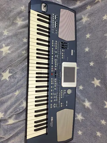 KORG PA500