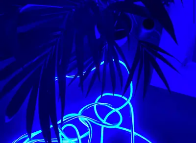 100m LED Event Lighting Set | 4 Colours | Professional Use