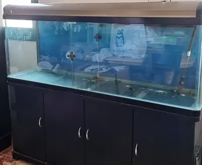 Aquarium 150cm Big tank