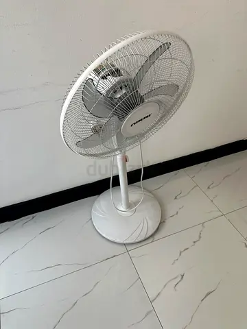 Fan