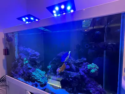 Marine aquarium
