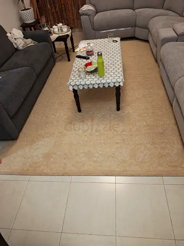 Large beige living room rug — good condition