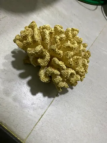 Aquarium ornament