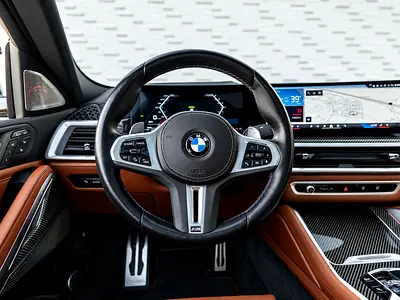 2024 BMW X6 缩略图 15