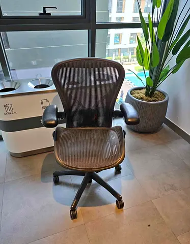 Professional Herman Miller Aeron Classic Chair PostureFit Back Support Size B