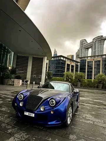1 of 1 custom-built Hurtan Automóviles