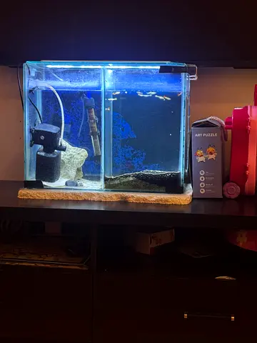 Aquarium