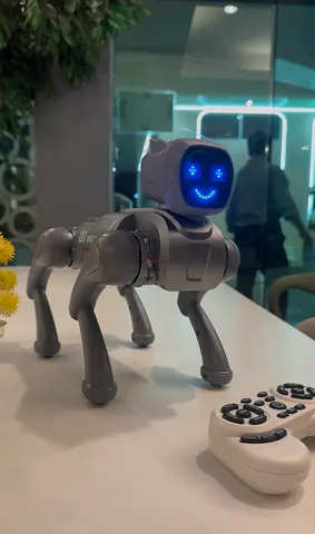 Remote Control Robot Dog Toy with LED Face - Works Well