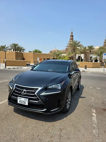 2017 Lexus NX-SERIES — миниатюра 12