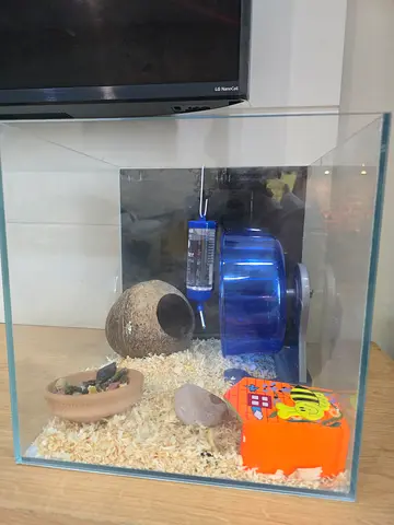 Small glass hamster setup, only the glass cube/aquarium