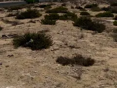 Land for sale in Al-Mahalla on Street 24 Area: 3,132 sq ft A bargain price: 500,000