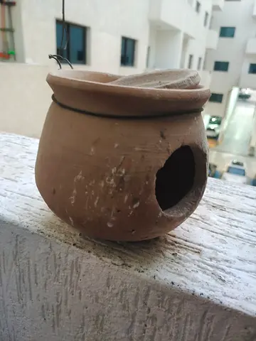 Nest