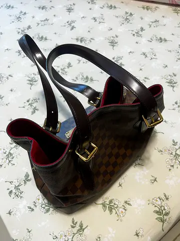 Louis Vuitton Damier Epene Bag And Purse (4000 bag alone)