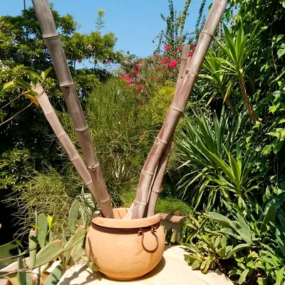 Large decorative terracotta garden planter/pot with metal ring