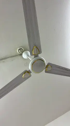 2 white Ceiling Fans - Good Working Condition