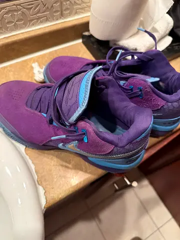 LeBron James basketball shoes