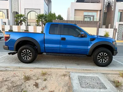 2010 FORD F-150 照片 10