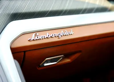 صورة مصغرة 12 لـ 2022 Lamborghini URUS