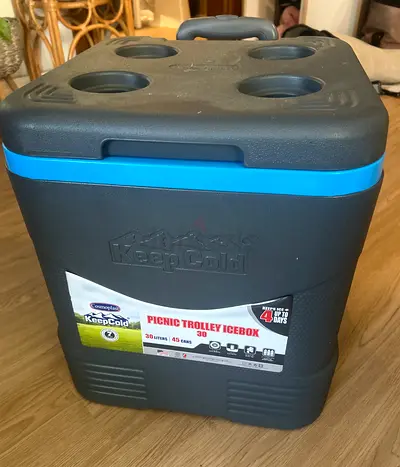 Cosmoplast Keep Cold Plastic Picnic Trolley Icebox Roller Cooler With Wheels 30 Liters