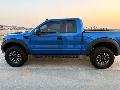 2010 FORD F-150 照片 5