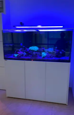 Aquarium