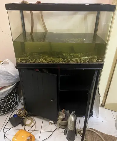Fishtank