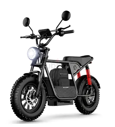 Wind Horse - D1 - Electric Bike